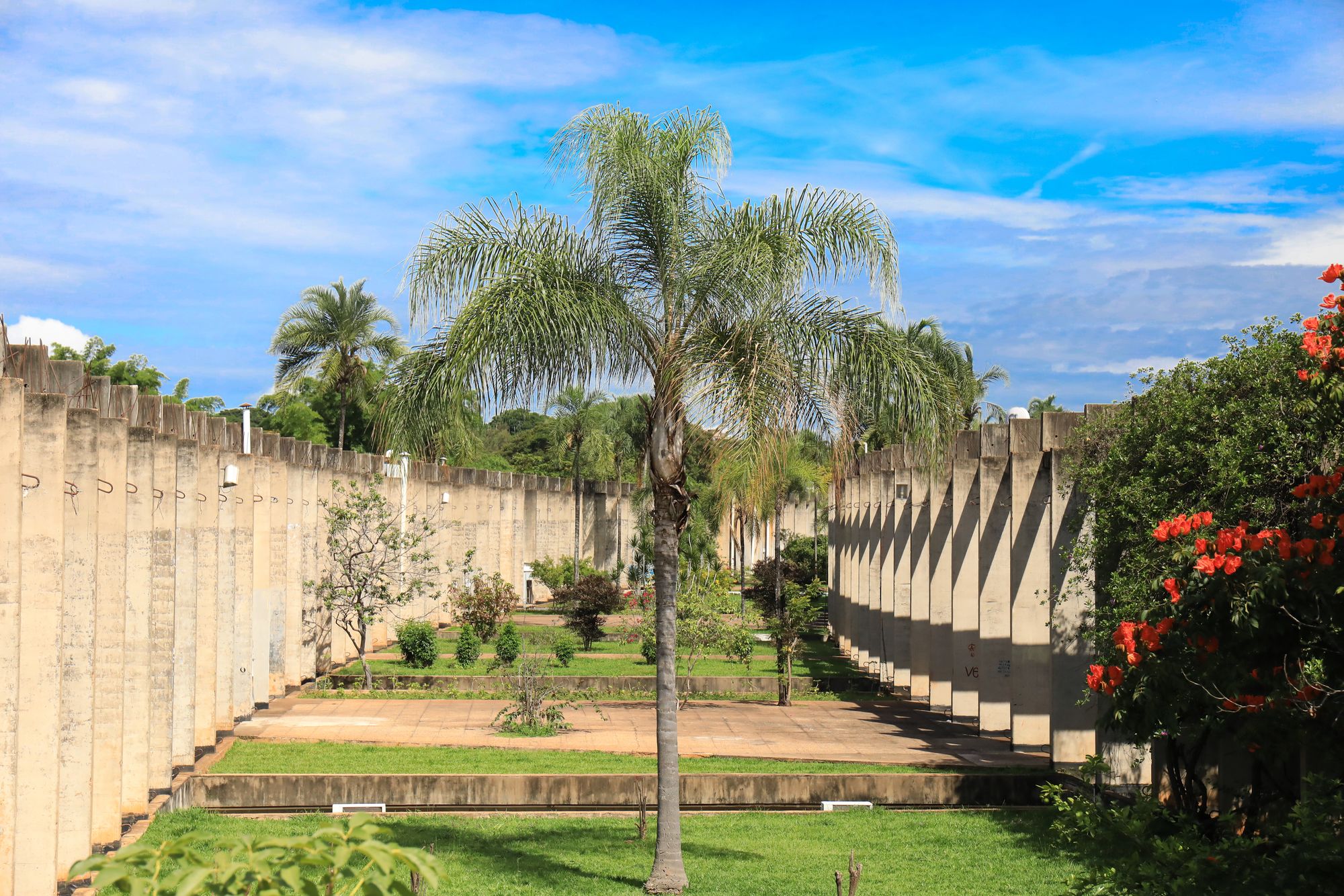 Jardim entre as alas do Instituto Central de Ciências da UnB, com uma palmeira ao centro e as colunas de concreto dos dois lados, sob céu azul